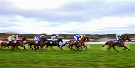 racing results from leopardstown today.